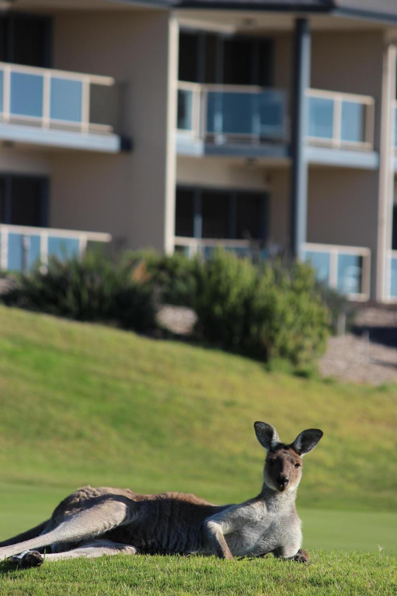Lady Bay Hotel Normanville Exterior photo
