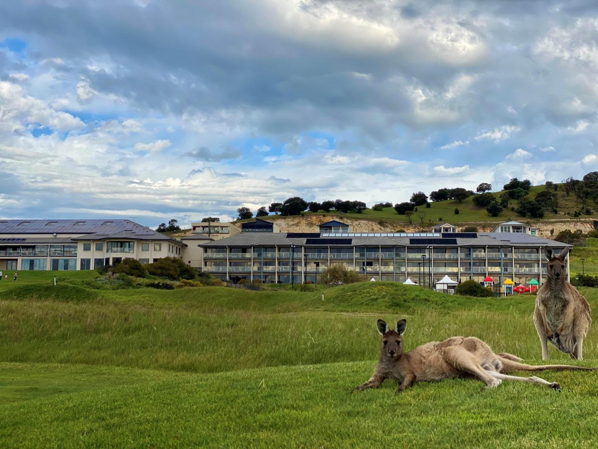 Lady Bay Hotel Normanville Exterior photo
